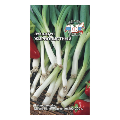 Лук-батун Жирнолистный, 1 г (СеДек)