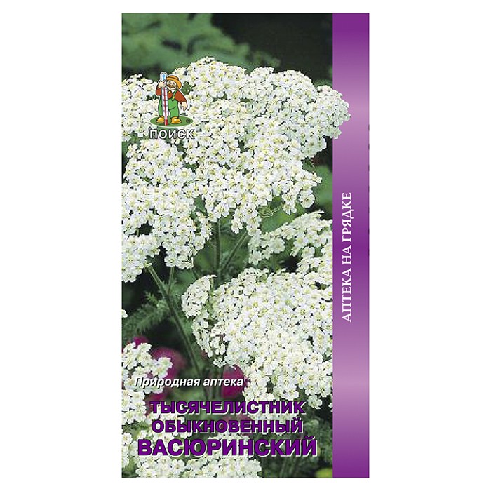 Тысячелистник обыкновенный Васюринский 0,1гр. (Поиск)