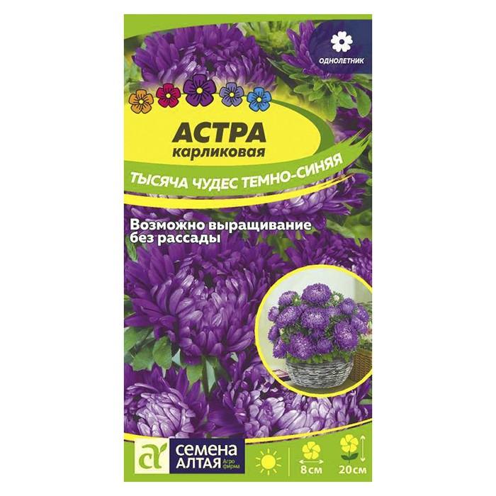 Астра Тысяча чудес темно-синяя карликовая 0,15 гр. (Семена Алтая)