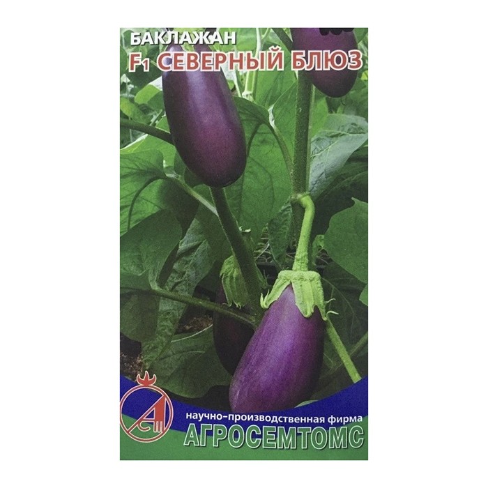 Баклажан Северный блюз 12шт. (Агросемтомс)