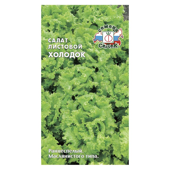 Салат листовой Холодок (СеДек)