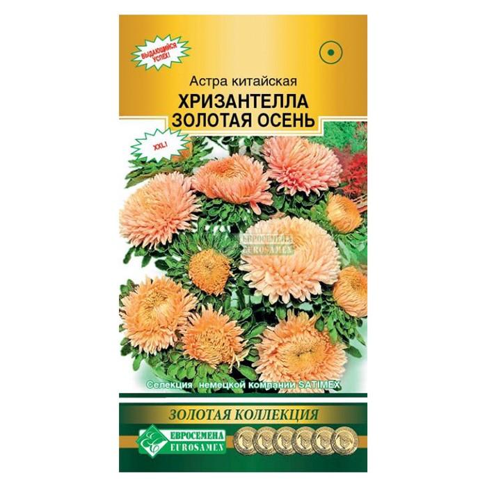 Астра китайская Хризантелла Золотая Осень, 5 шт  (ЕС)