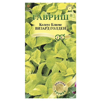 Колеус Визард Голден* 5 шт. Элитная клумба (Гавриш)