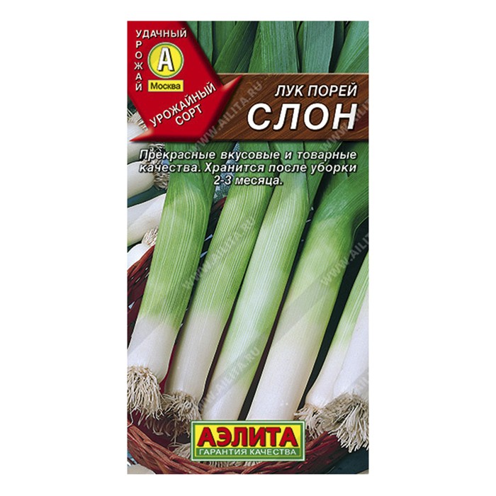 Лук порей Слон , 1г (Аэлита)