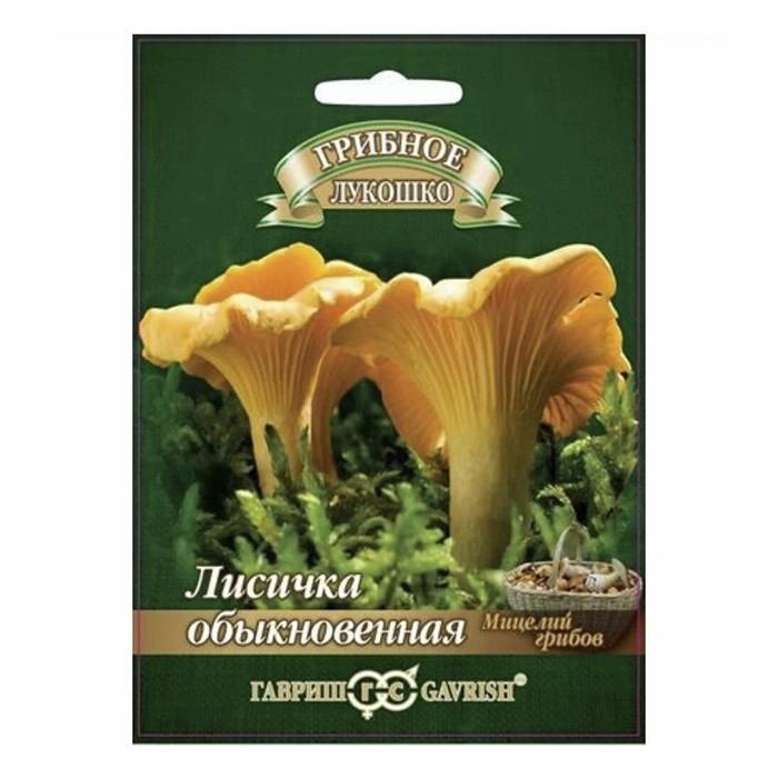 Гриб Лисички на зерновом субстрате, 15 мл (Гавриш)