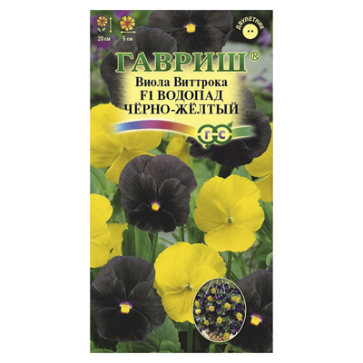 Виола Водопад черно-желтый F1, Виттрока (амп.)* 4 шт. (Гавриш)