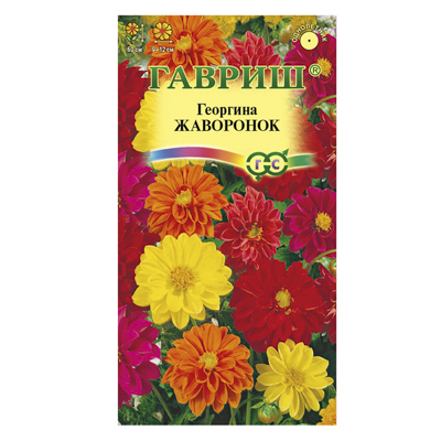 Георгина Жаворонок, смесь 0,3 г (Гавриш)
