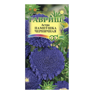 Астра Пампушка черничная, однолетняя (помпонная) 0,3 г (Гавриш)