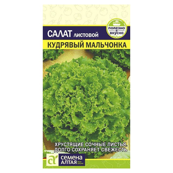 Салат Кудрявый Мальчонка 0,5 гр. (Семена Алтая)