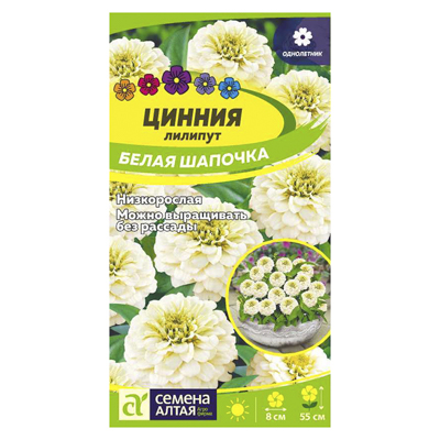 Цинния лилипут Белая Шапочка 0,3 гр. (Семена Алтая)