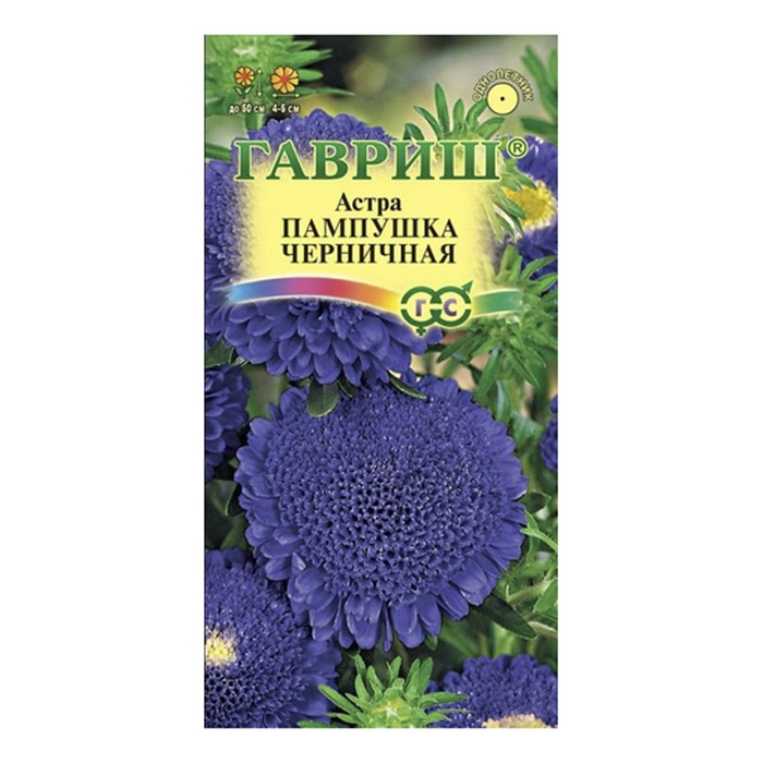 Астра Пампушка черничная, однолетняя (помпонная) 0,3 г (Гавриш)