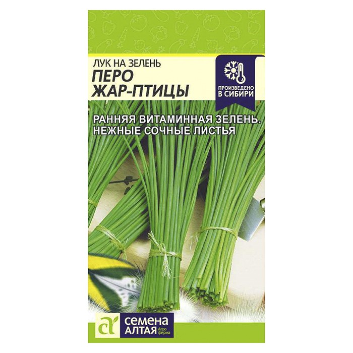 Лук на зелень Перо Жар-Птицы (Семена Алтая)