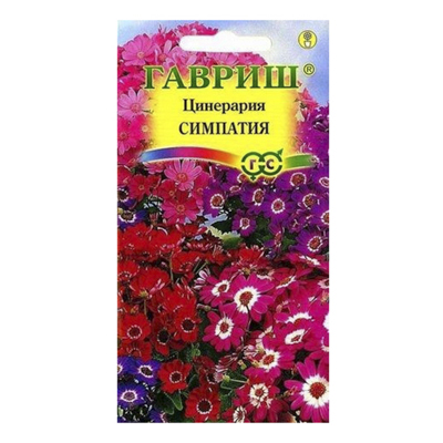 Цинерария Симпатия (цветущая гибридная) 8 шт. (Гавриш)