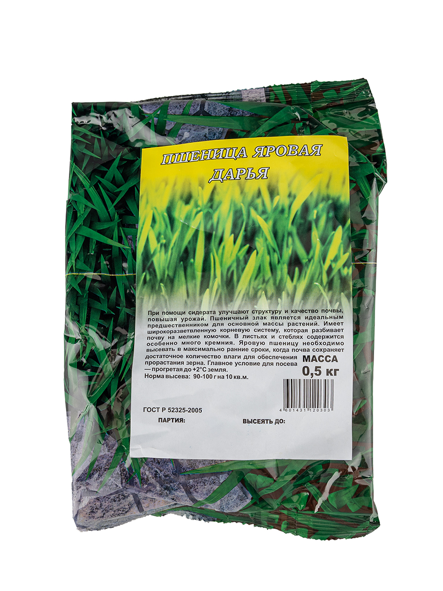 Пшеница яровая Дарья  0,5 кг. (Гавриш)