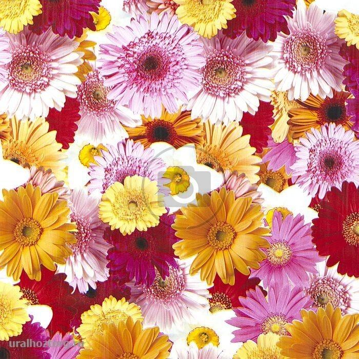Клеенка н/ткани 1,25х25 м герберы/без фона `Этюд` 170/7 (Колорит)