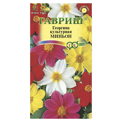 Георгина Миньон, смесь 0,3 г (Гавриш)