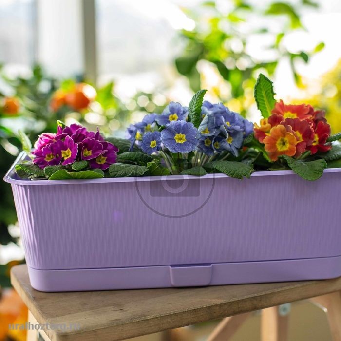 Ящик балконный  9,5 л 600x170 мм h=130 мм 'Прованс' с поддоном лаванда (5Пл)