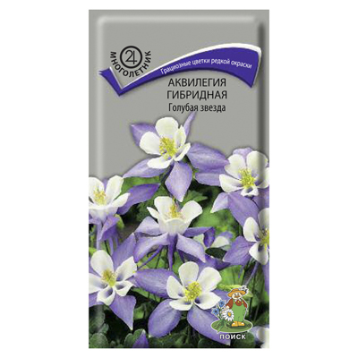 Аквилегия гибридная Голубая звезда (Поиск)