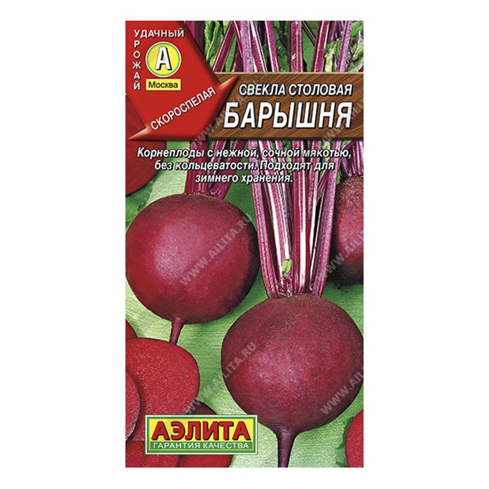 Свекла Барышня, 3г (Аэлита)