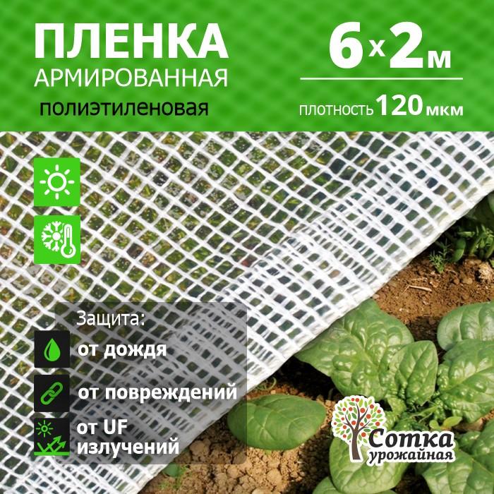Пленка Армиров 120 мкм 6 м х 2 м нить белая 'Урожайная сотка' 