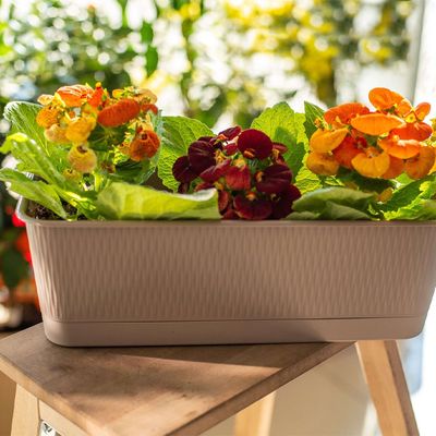 Ящик балконный  6,0 л 400x170 мм h=130 мм "Прованс" с поддоном лаванда (5Пл)