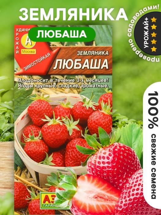Земляника ремонтантная крупноплодная Любаша  10шт (Аэлита)