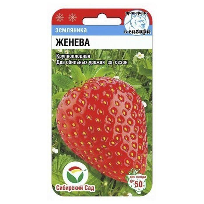 Земляника Женева  10 шт. (Сиб Сад)