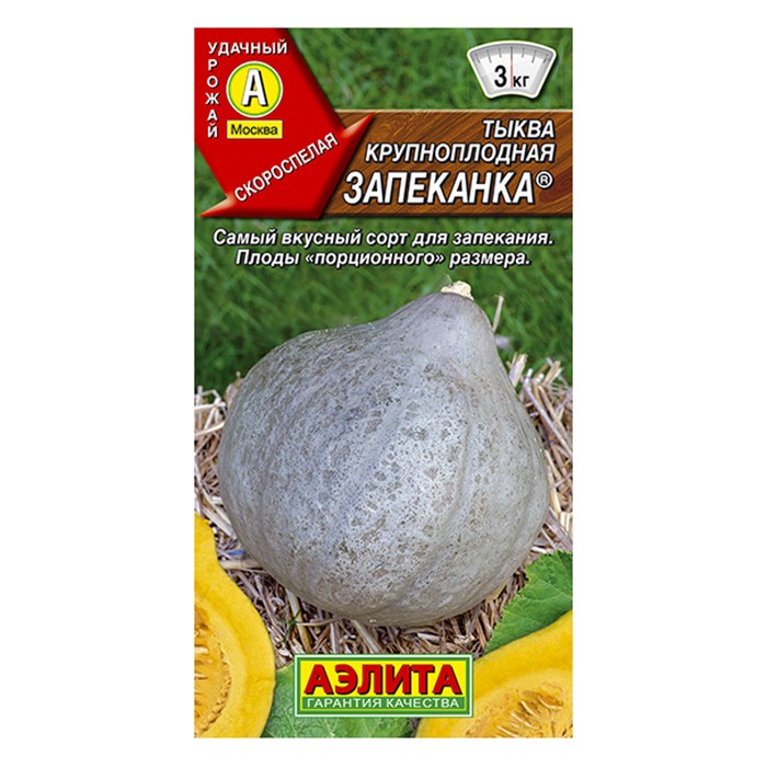 Тыква крупноплодная Запеканка  1г (Аэлита)