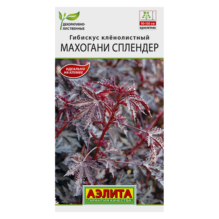 Гибискус Махогани сплендер  3шт (Аэлита)