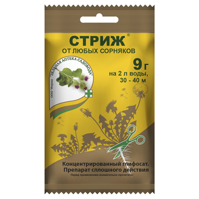 Стриж 9 г (ЗАС)