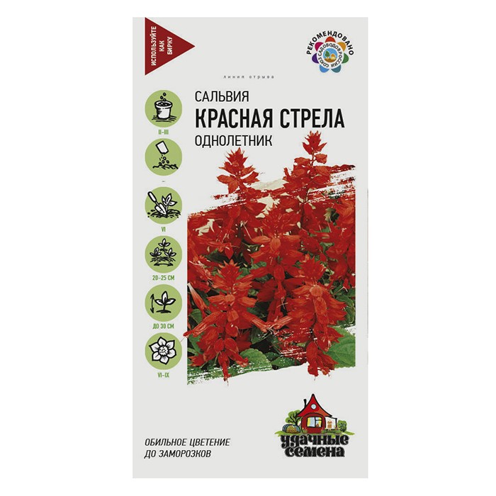 Сальвия (Шалфей) Красная стрела 0,1 г Уд. с. (Гавриш)