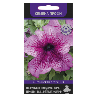 Петуния грандифлора Призм Вишнёвые жилки 30шт. (Поиск)