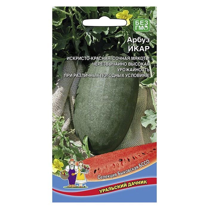 Арбуз Икар 10 шт. (УД)