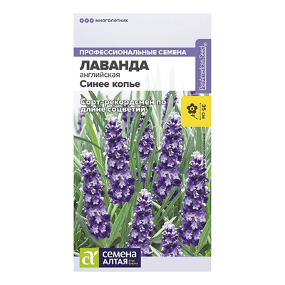 Лаванда Синее копье узколистная 5 шт. (Семена Алтая) new23