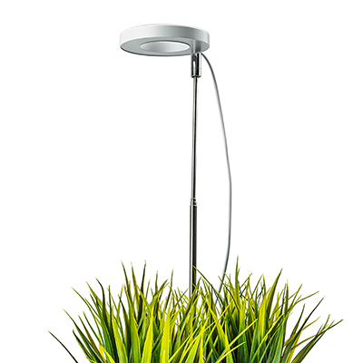 Фитосветильник светодиодный 5 Вт 1 лампа для рассады и растений 'Урожайная сотка' грунтовый и с таймером