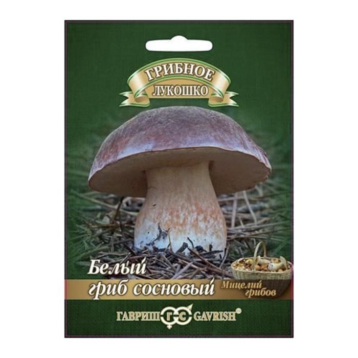 Гриб белый Сосновый на зерновом субстрате, 15 мл (Гавриш)