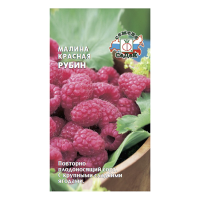 Малина Красная Рубин, 0,05 г (СеДек)