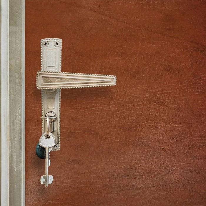 Комплект для утепления дверей ‘Praktische Home’ (поролон 2х1м 5 мм, струна 10м, гвозди меб. 50шт) светло-коричневый