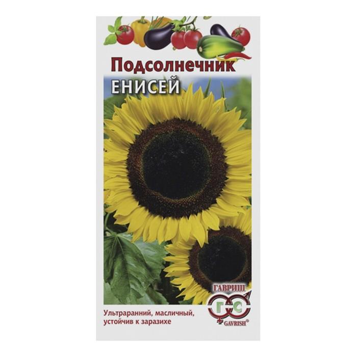 Подсолнечник Енисей 10 г (Гавриш)