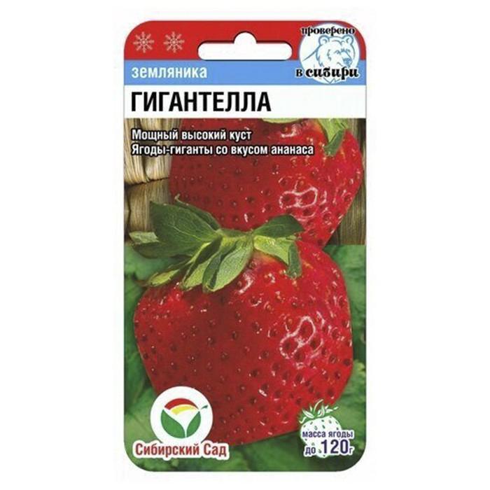 Земляника Гигантелла  10 шт. (Сиб сад)