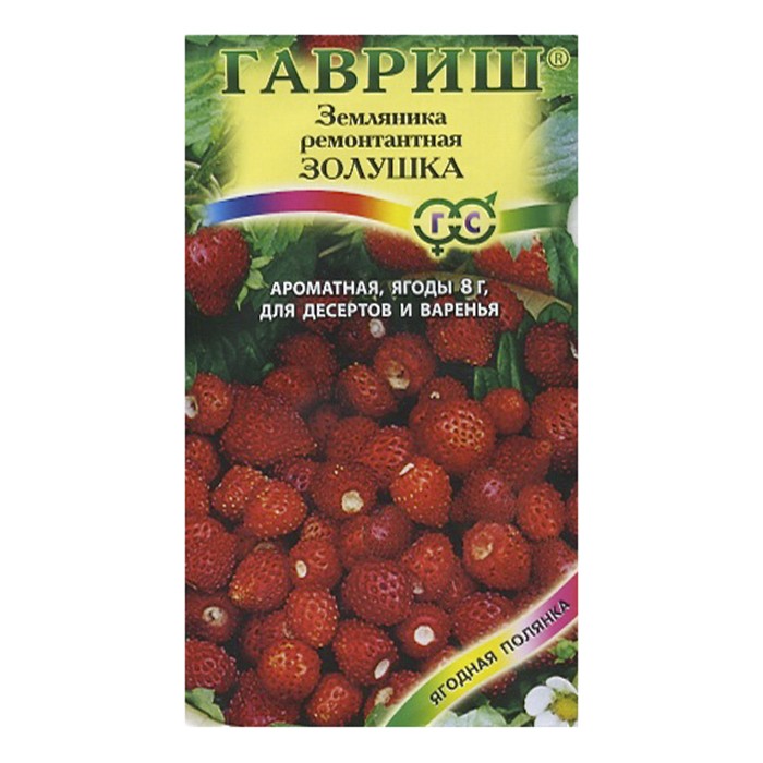 Земляника Золушка УС (Гавриш)