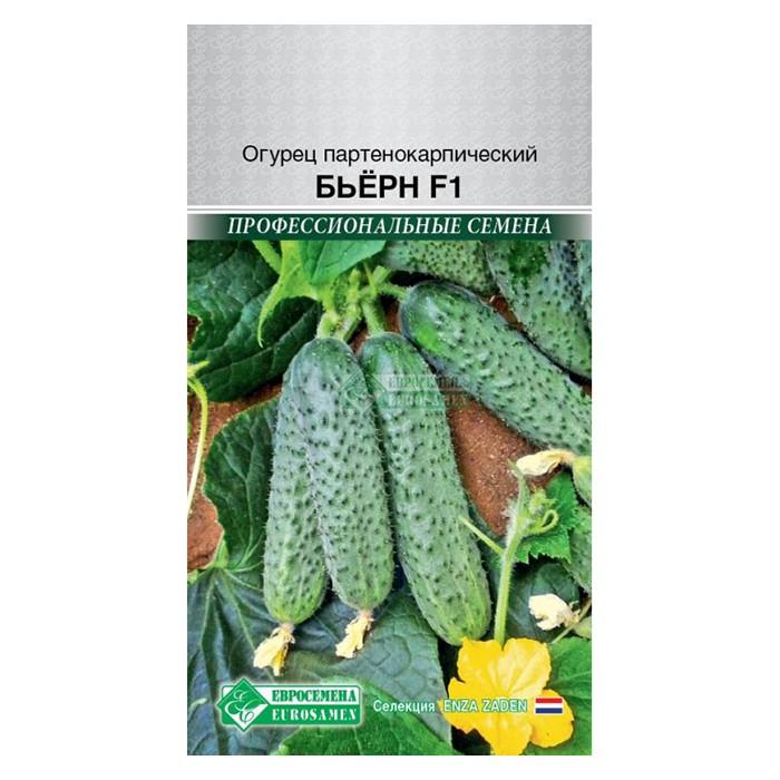 Огурец Бьерн F1 (5 шт) (ЕС)