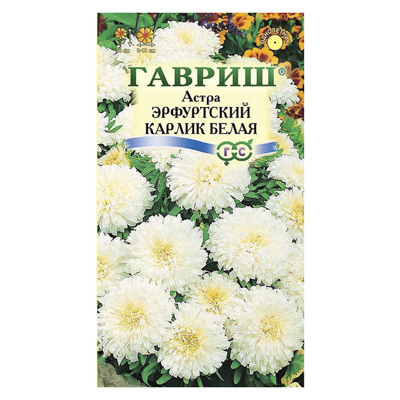 Астра Эрфуртский карлик Белая, однолетняя, 0,3 г (Гавриш)