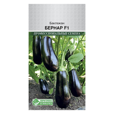 Баклажан Бернар F1 (10 шт)  (ЕС)