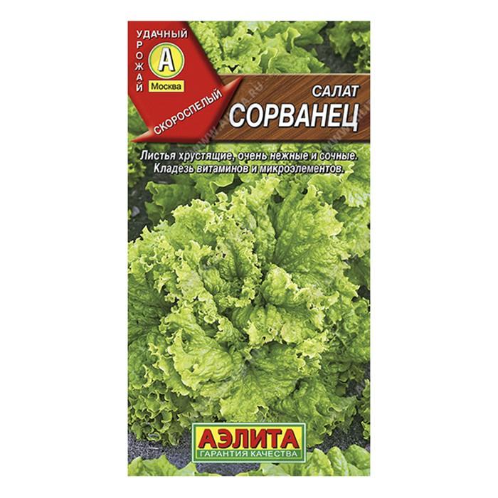 Салат Сорванец листовой, 0,5г (Аэлита)