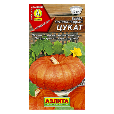 Тыква крупноплодная Цукат  1г (Аэлита)