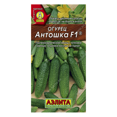 Огурец Антошка F1, 10шт (Аэлита)