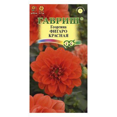 Георгина Фигаро красная 7 шт. (негран.) (Гавриш)