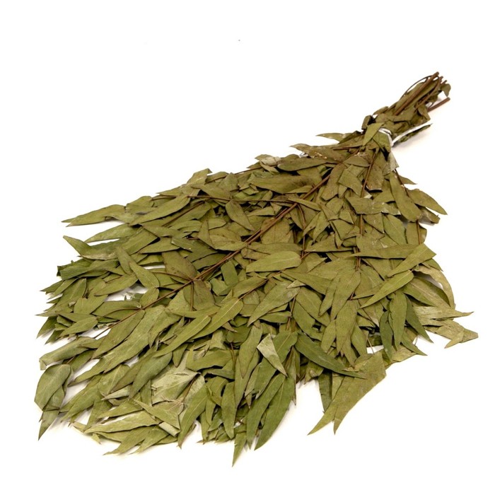 Веник для бани эвкалиптовый в упак (Банная линия)