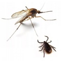 Средства защиты от комаров и клещей